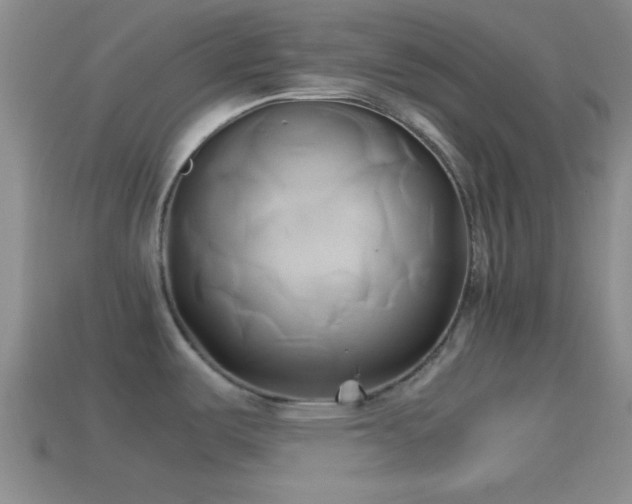 X0000114151487200910151533