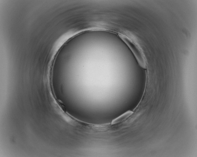 X0000114151488200910151533