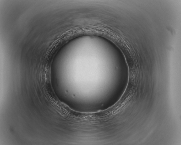 X0000114151490200910151532