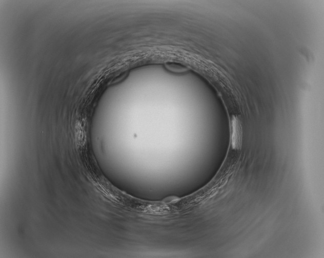 X0000114151491200910151532
