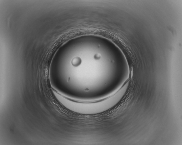 X0000114151492200910151532