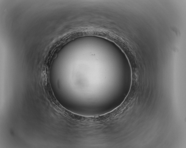 X0000114151493200910151532