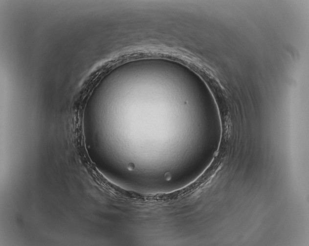 X0000114151494200910151532