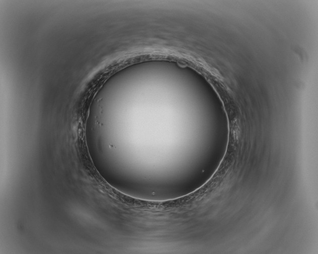 X0000114151495200910151532