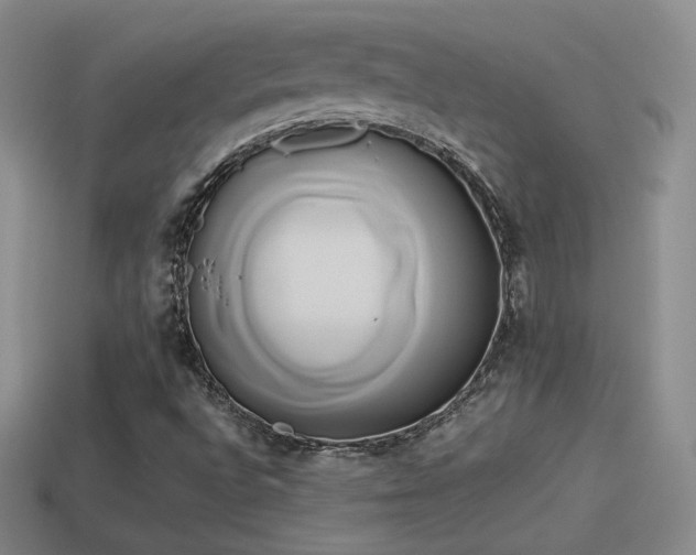X0000114151496200910151532