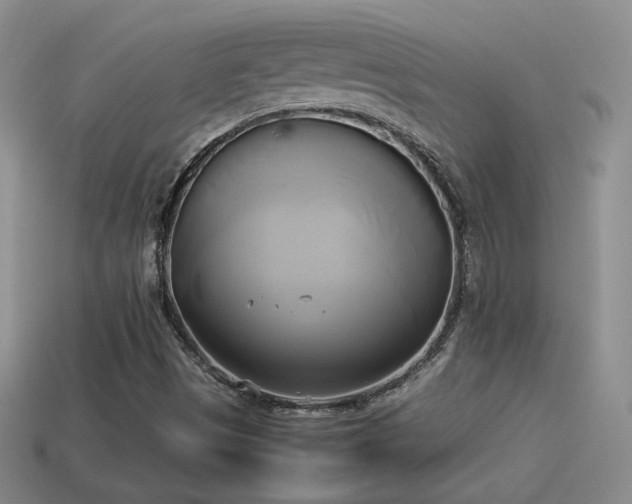 X0000114151497200910151532