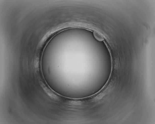 X0000114151499200910151532