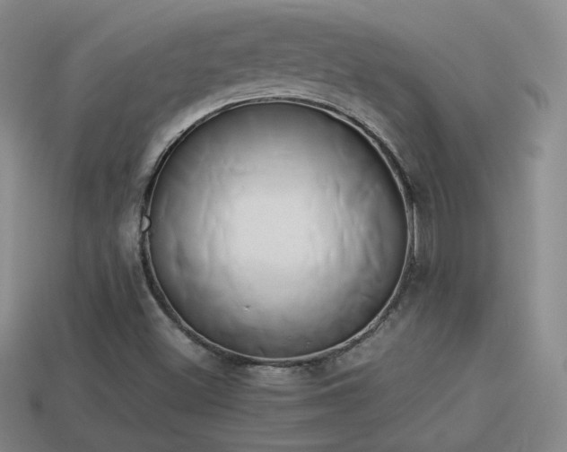 X0000114151500200910151532