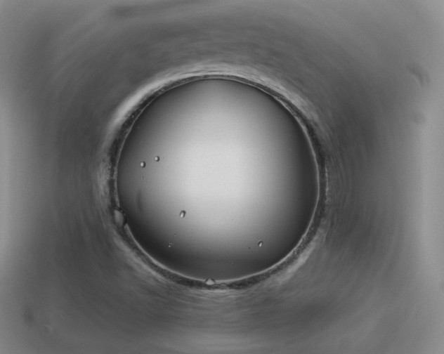 X0000114151502200910151532