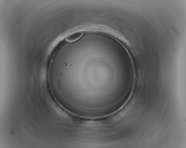 X0000114151506200910151532