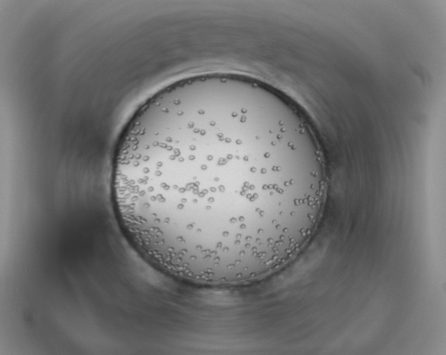 X0000114151508200910151532