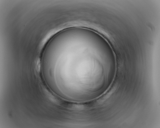 X0000114151509200910151532