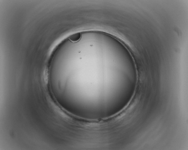 X0000114151510200910151532