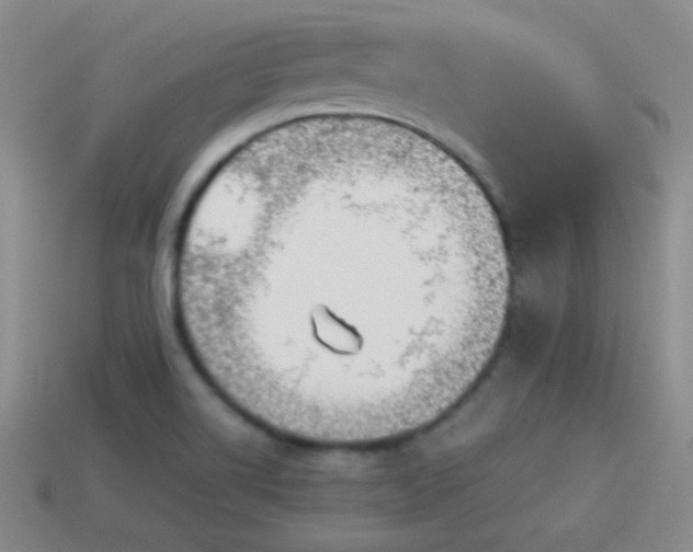 X0000114151514200910151532