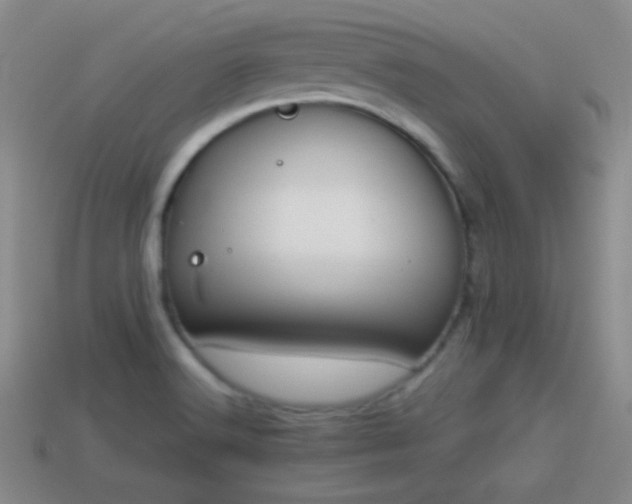 X0000114151516200910151532
