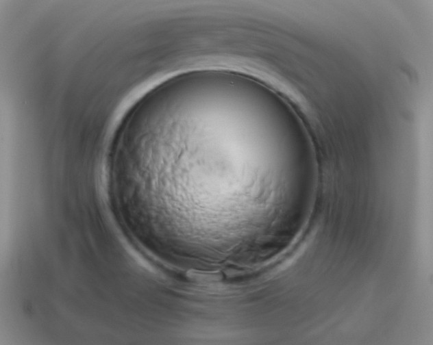 X0000114151517200910151532