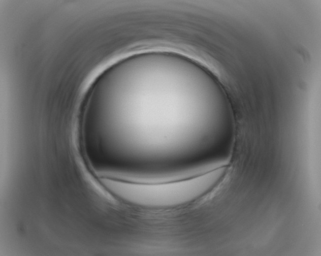 X0000114151518200910151532