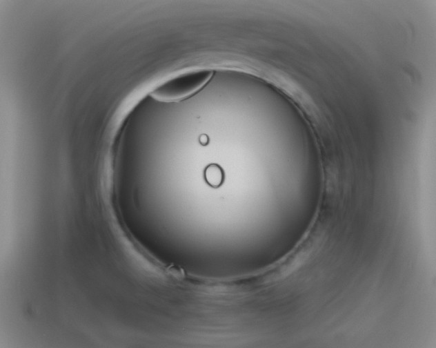 X0000114151520200910151533