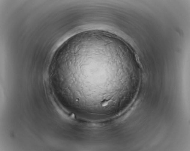 X0000114151521200910151533