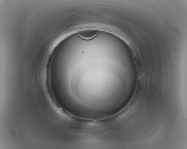 X0000114151523200910151533