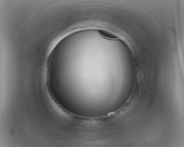 X0000114151524200910151533