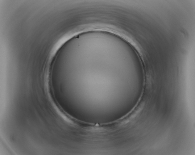 X0000114151525200910151533