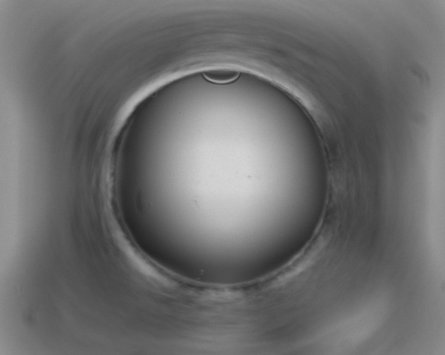 X0000114151526200910151533