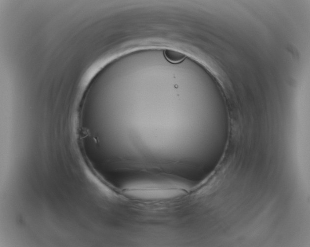 X0000114151527200910151533