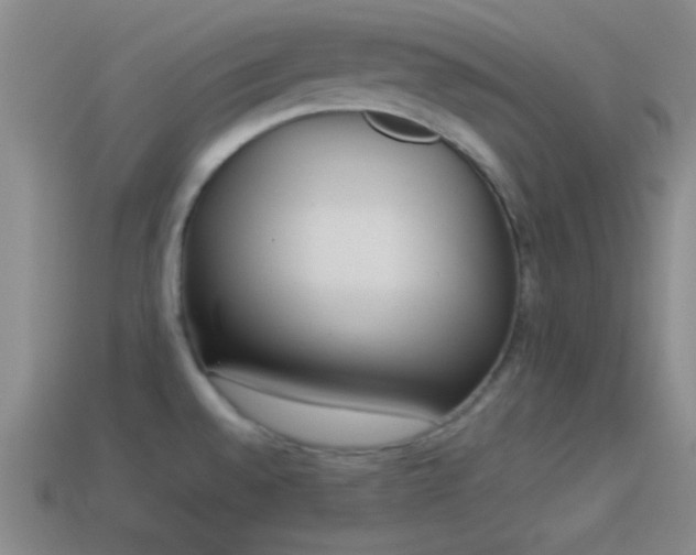 X0000114151528200910151533