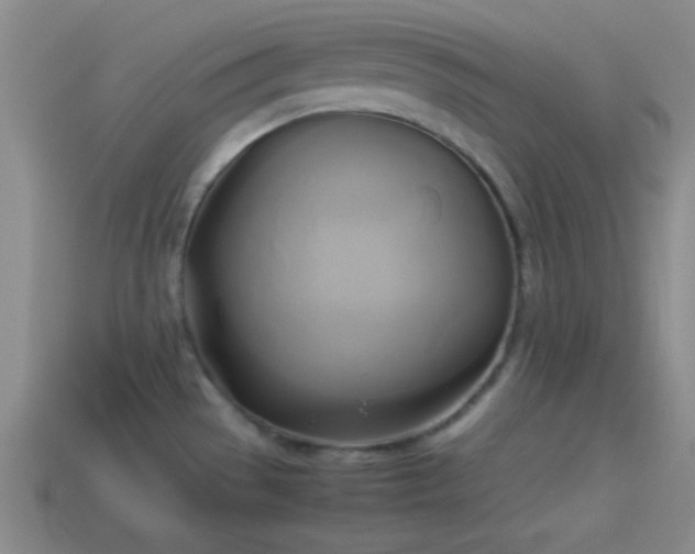 X0000114151529200910151533
