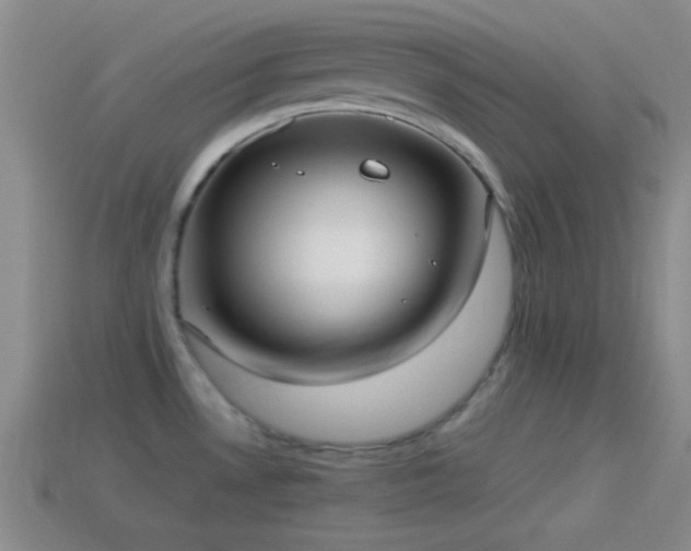 X0000114151530200910151533
