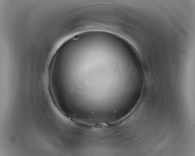 X0000114151531200910151533