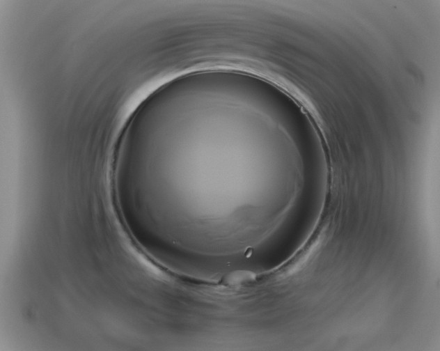 X0000114151533200910151533