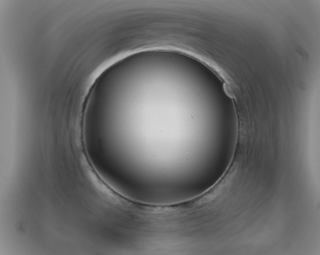 X0000114151534200910151533
