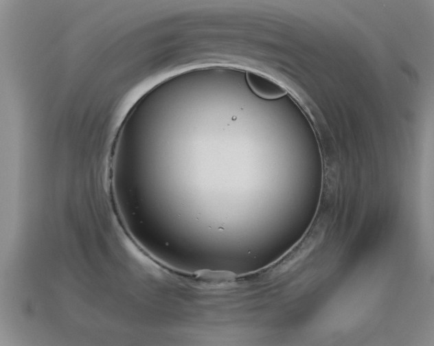 X0000114151535200910151533