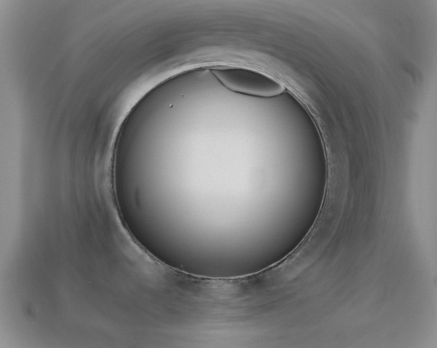 X0000114151536200910151533