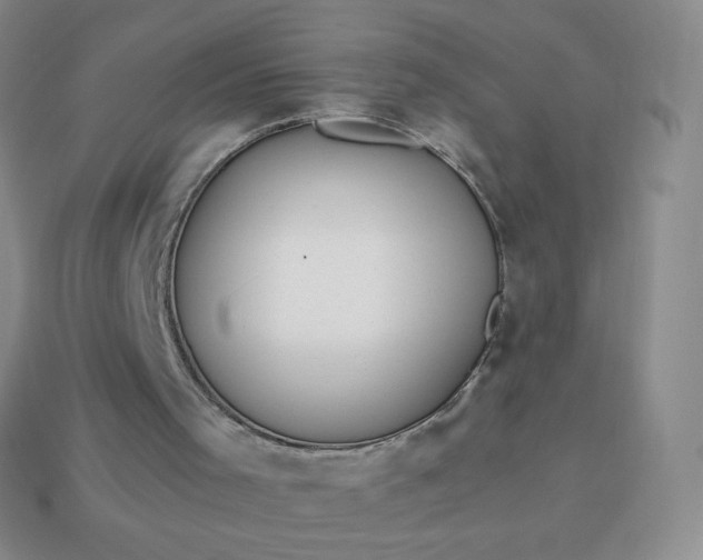 X0000114150001200910221556