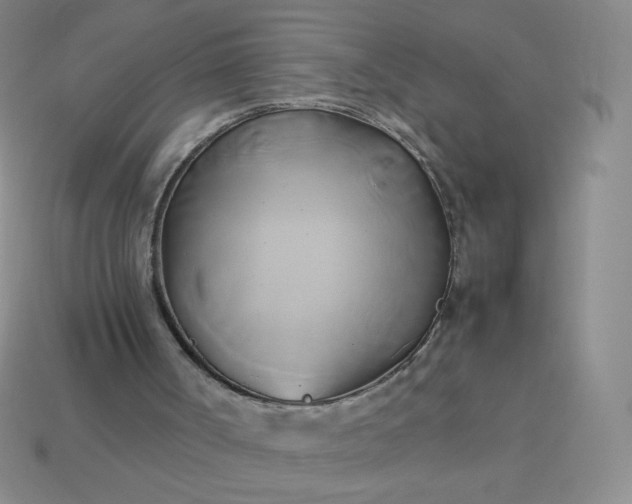 X0000114150002200910221556