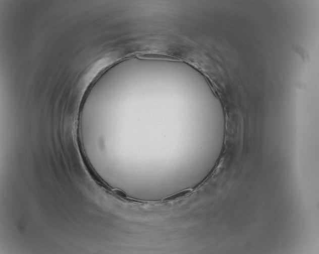 X0000114150003200910221556
