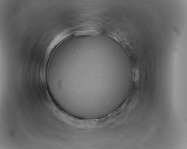 X0000114150004200910221556