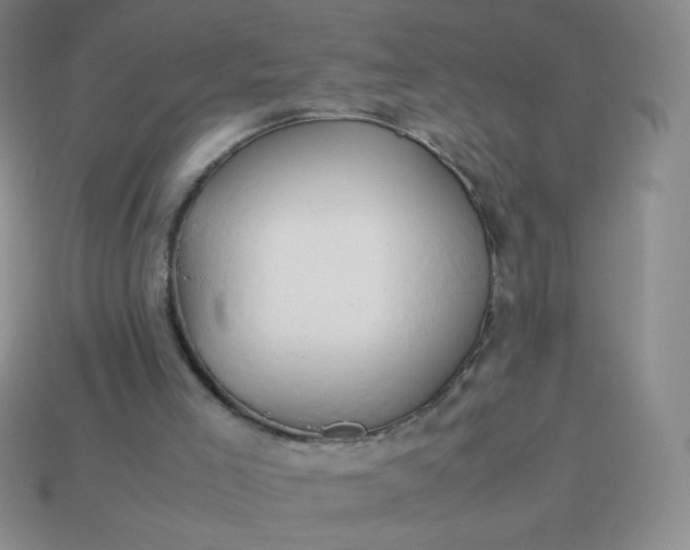 X0000114150005200910221556