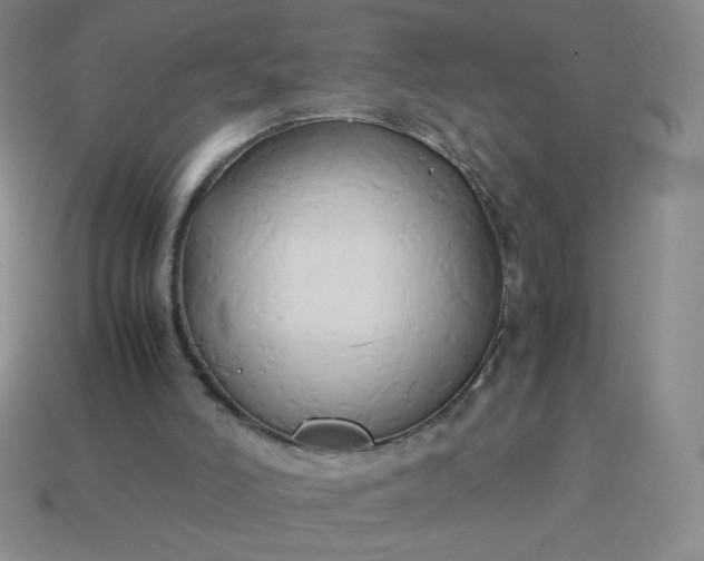 X0000114150006200910221556