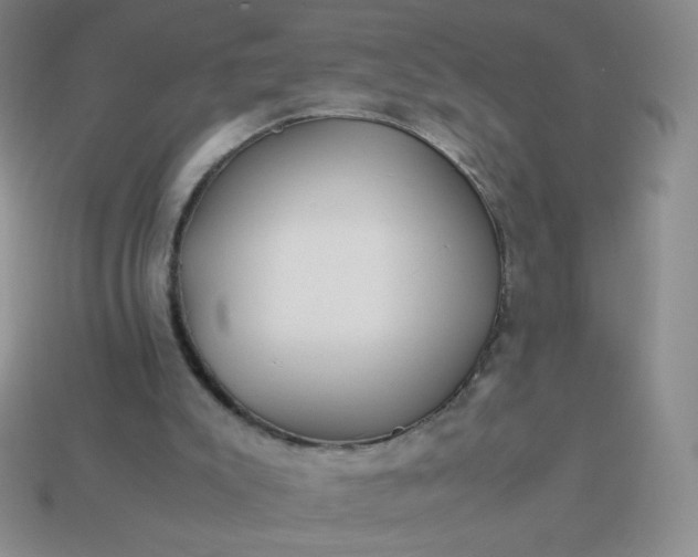X0000114150007200910221556