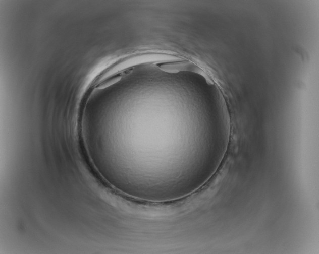 X0000114150008200910221556