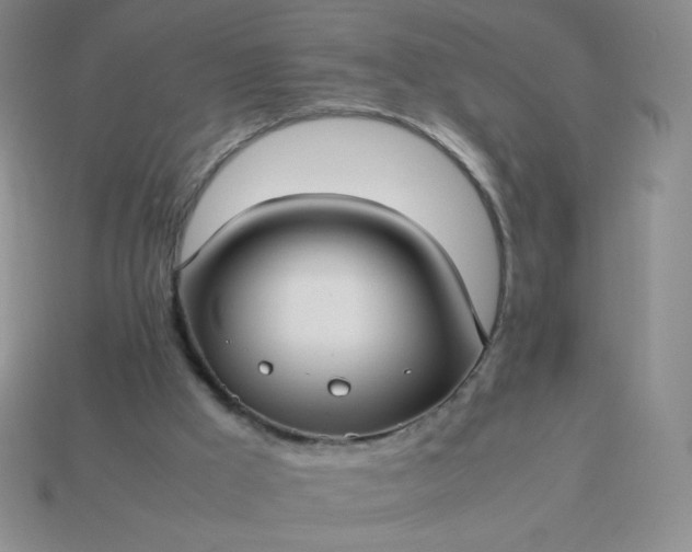 X0000114150009200910221556