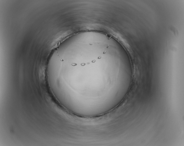X0000114150010200910221556