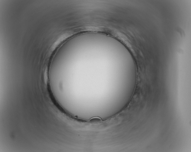 X0000114150011200910221556