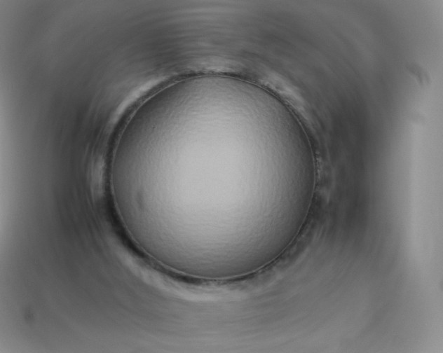 X0000114150012200910221556