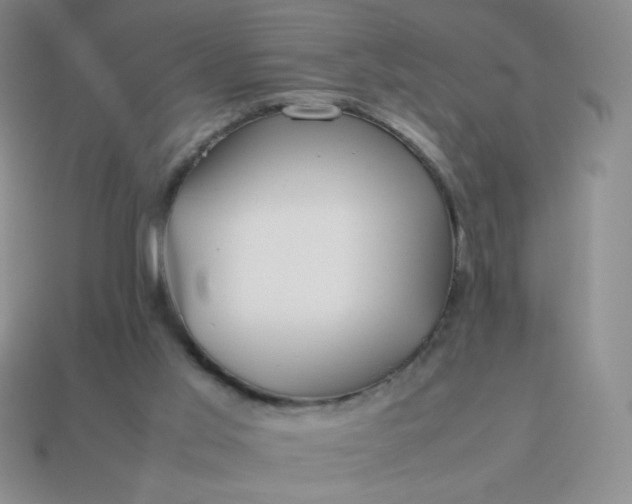 X0000114150013200910221556