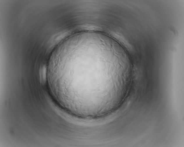 X0000114150014200910221556
